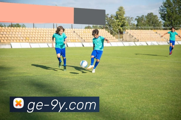 九游官网平台生态图